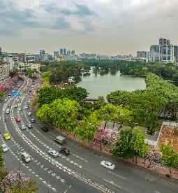 Belaku Rehab Blog Post Image